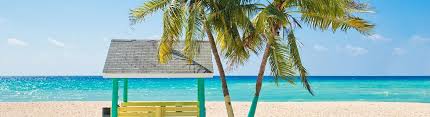 Cayman Eco - LOCAL NEWS...﻿